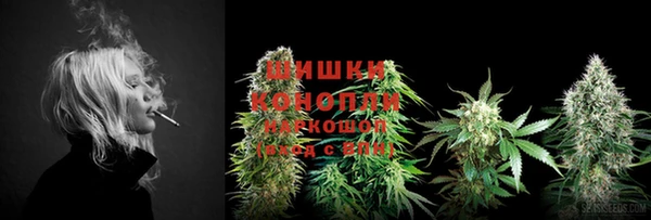 ГАЛЛЮЦИНОГЕННЫЕ ГРИБЫ Магас