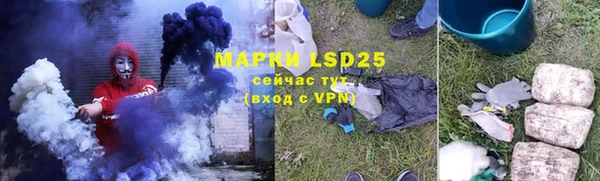 ГАЛЛЮЦИНОГЕННЫЕ ГРИБЫ Магас