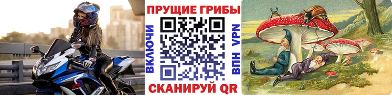 мориарти наркотические препараты Нерчинск Галлюциногенные грибы MAGIC MUSHROOMS цены